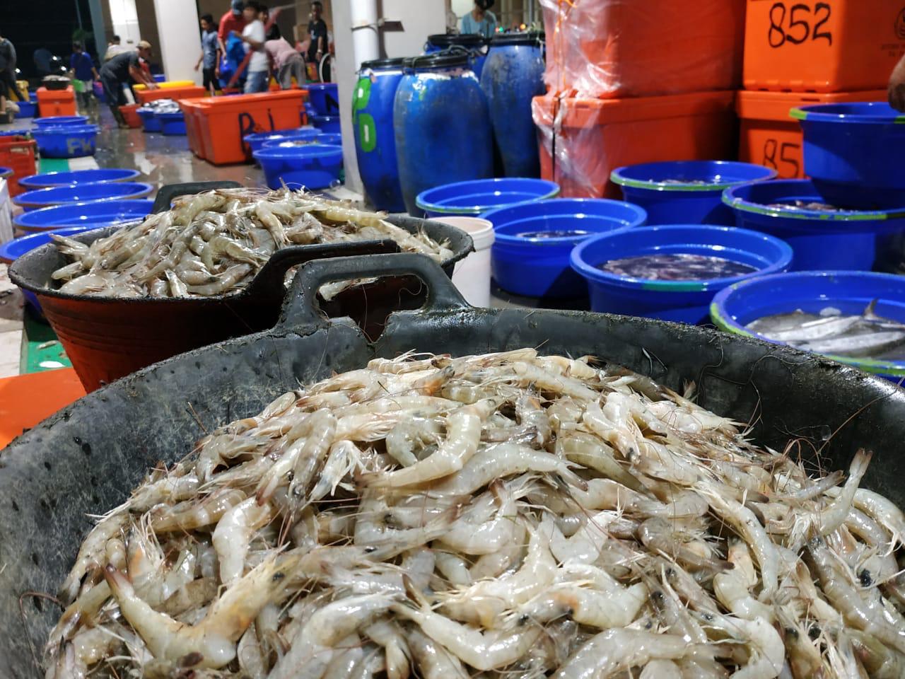 PT Perikanan Indonesia Siap Penuhi Ketersediaan Ikan Jelang Hari Raya Idul Fitri 2024