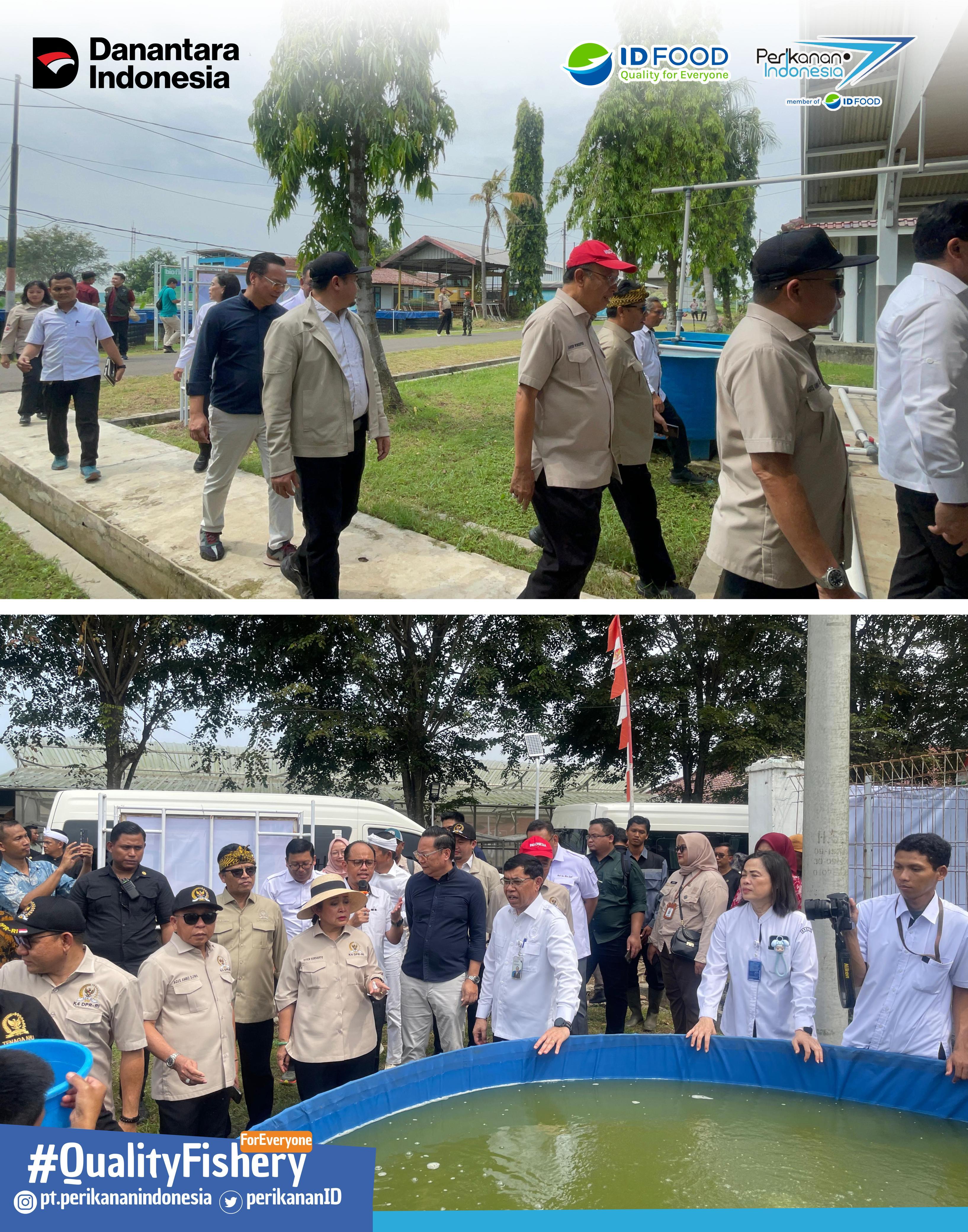 PT Perikanan Indonesia bersama dengan ID FOOD mendampingi kunjungan kerja spesifik Komisi IV DPR RI ke Subang, Jawa Barat dalam rangka pemantauan program swasembada pangan