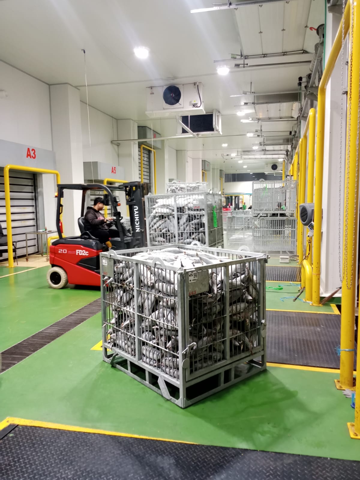 PT Perikanan Indonesia Perluas Jejaring Perdagangan Global Melalui Kemitraan Strategis dengan AgriCommerce Pte, Ltd.