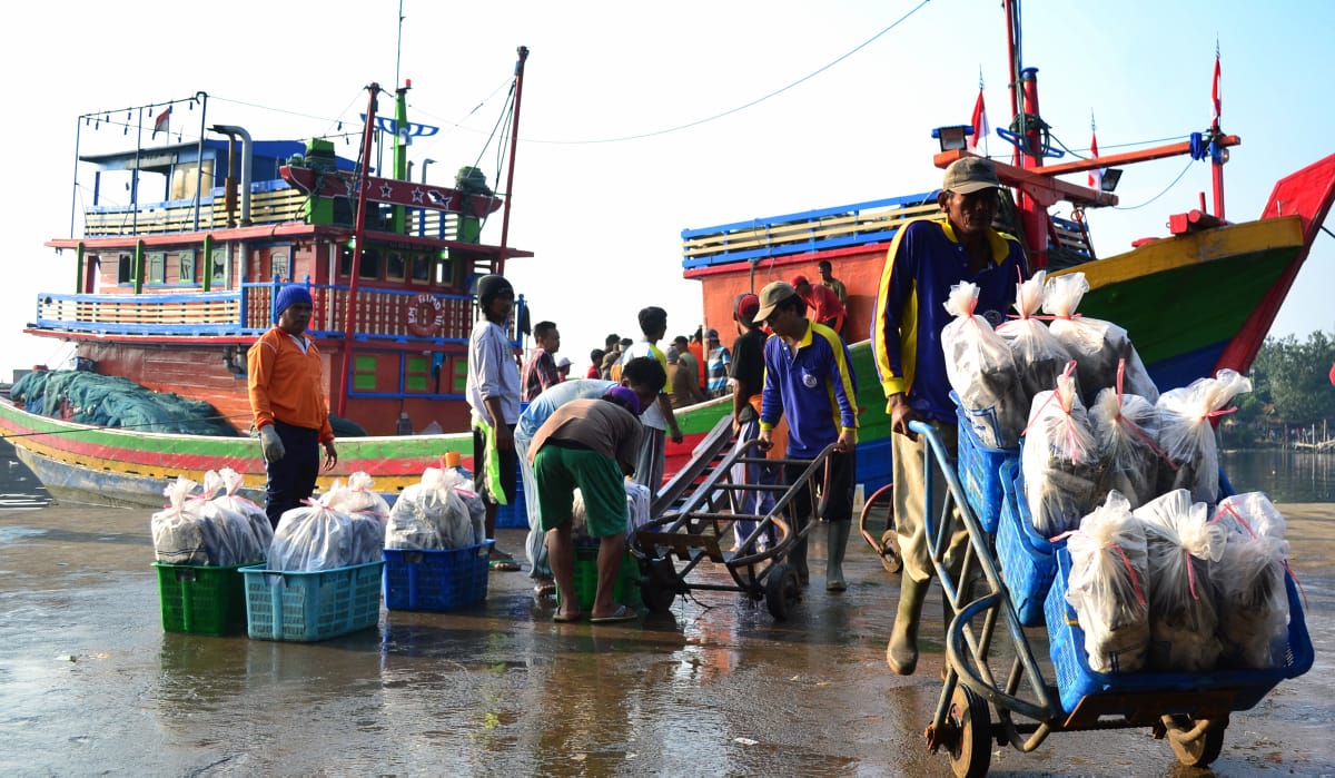 ID FOOD Komitmen Jaga Pasokan Pangan, Antisipasi Krisis Pangan