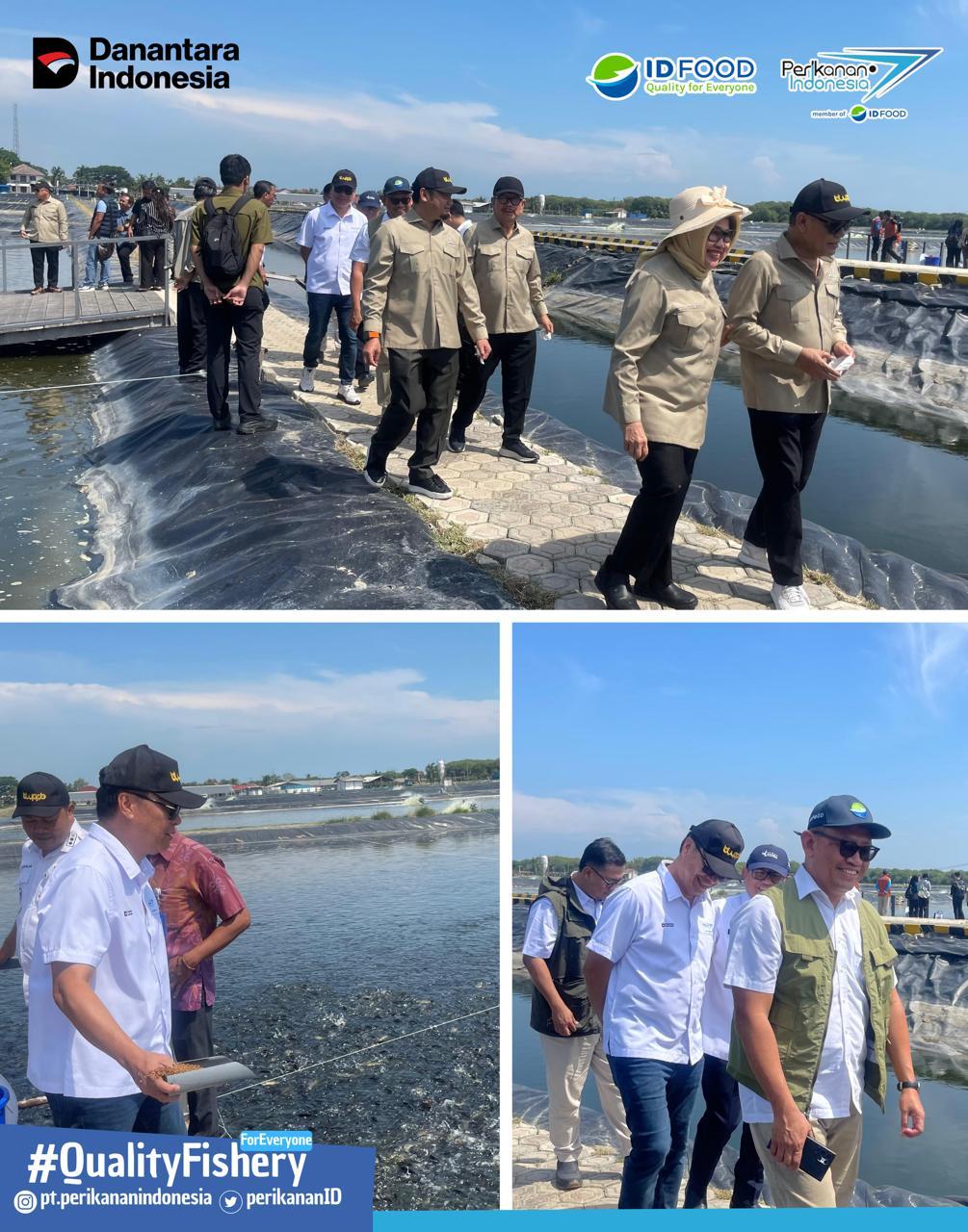 PT Perikanan Indonesia Siap untuk Mendukung Pengembangan Tambak Ikan Nila 